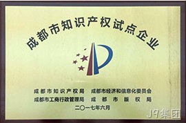 成都市知识产权试点企业