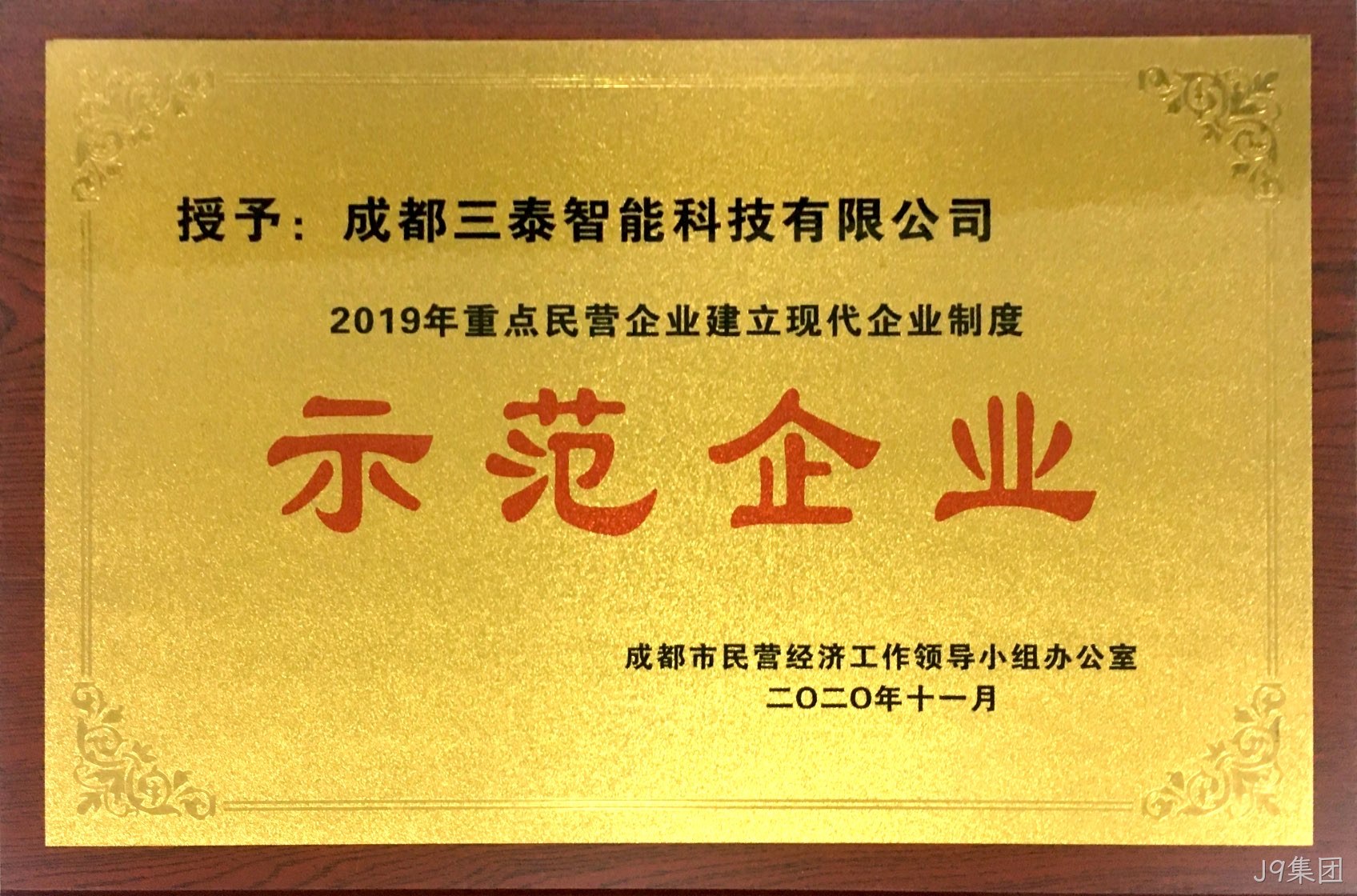 2019重点民营企业建立现代企业制度-示范企业